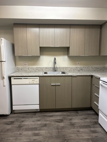Common Kitchen Layout with Newly Renovated Finishes