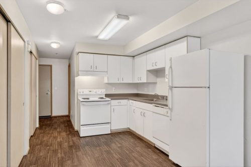 Classic Studio Unit (Kitchen, Plentiful Closet Space)