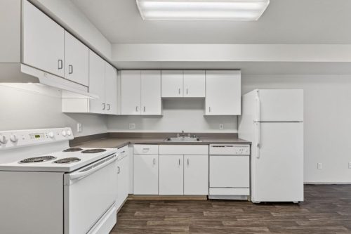 Classic Studio Unit (Full Kitchen & White Cabinetry)
