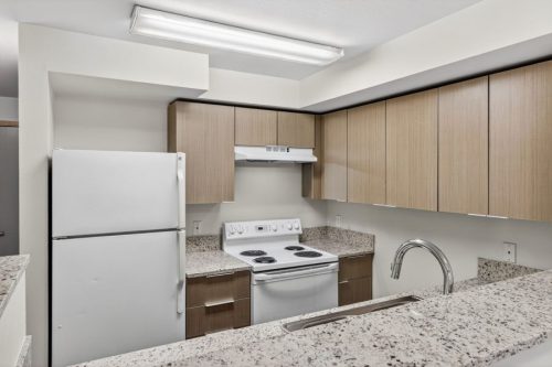 Renovated 2x2 Unit (Large Living Room)