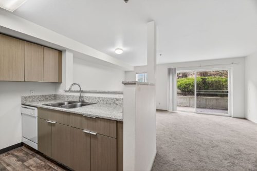 Renovated 2x2 Unit (Kitchen & Living Room)
