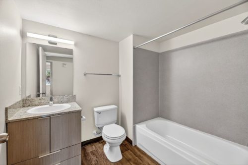 Renovated 2x1 Unit (Bathroom)